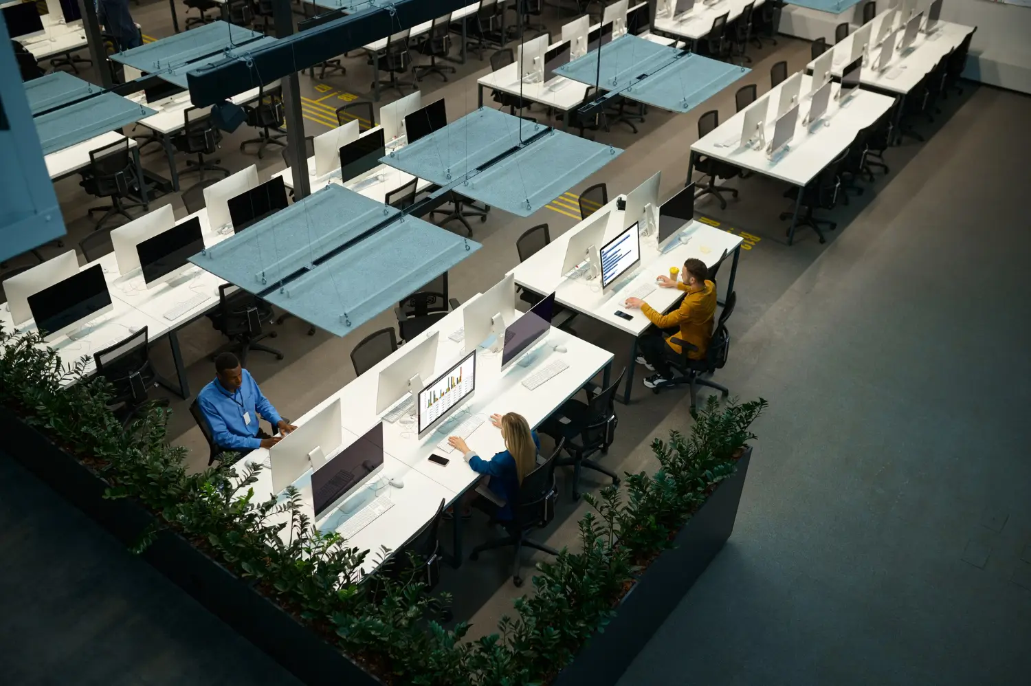 Office IT Setup & Relocation