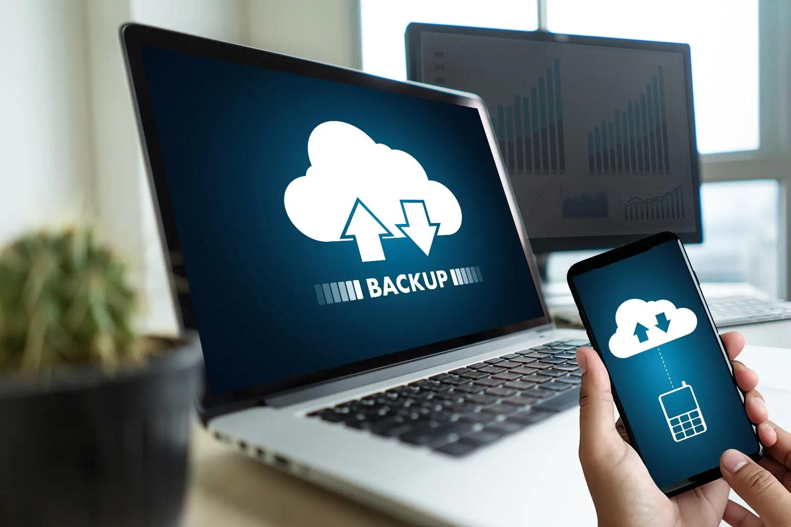 Backup & Disaster Recovery