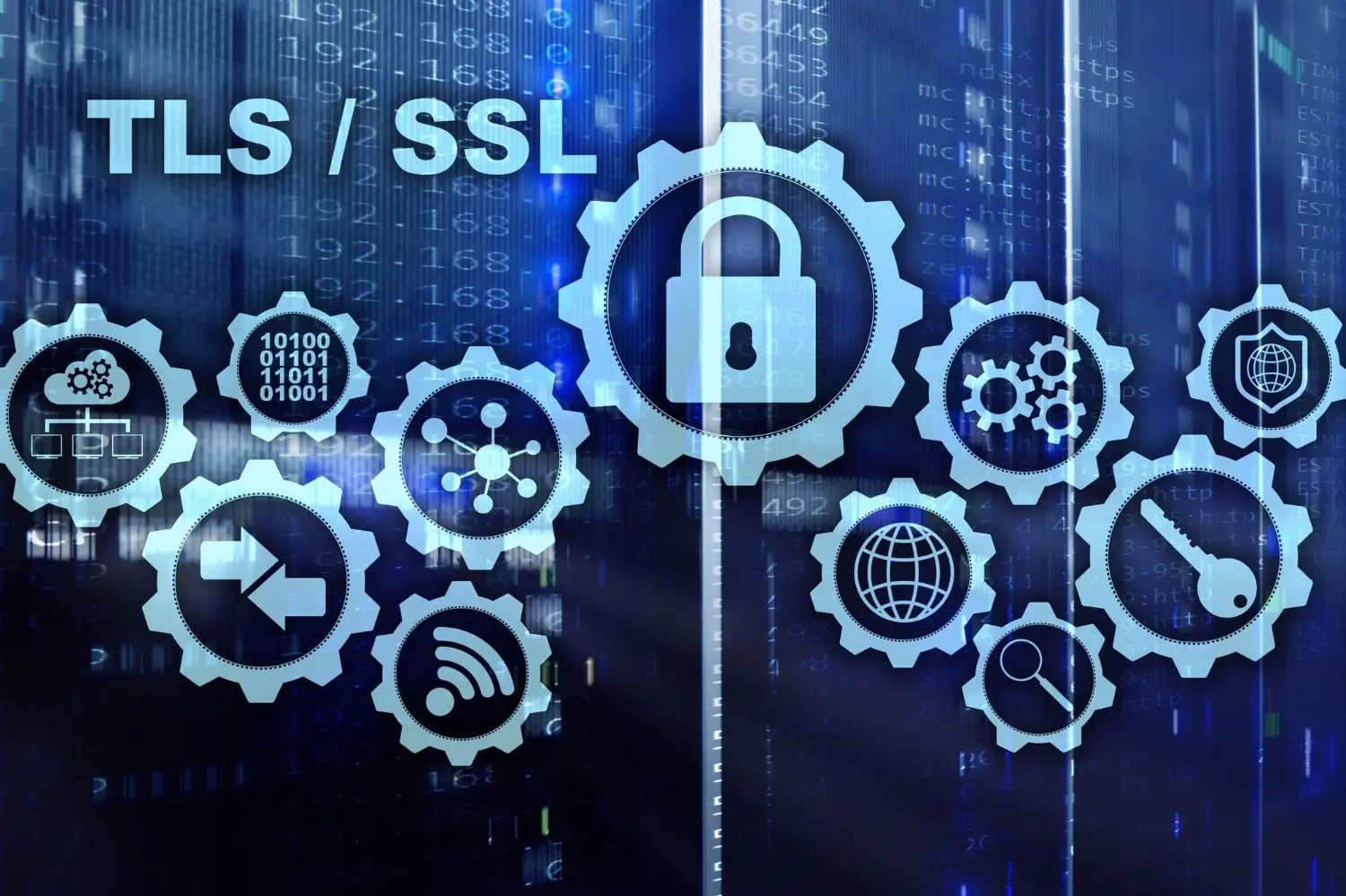 Software Licenses